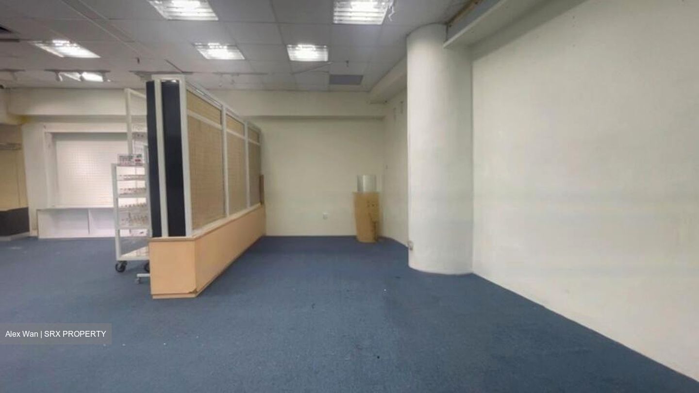 Sim Lim Tower (D8), Shop House #482659231